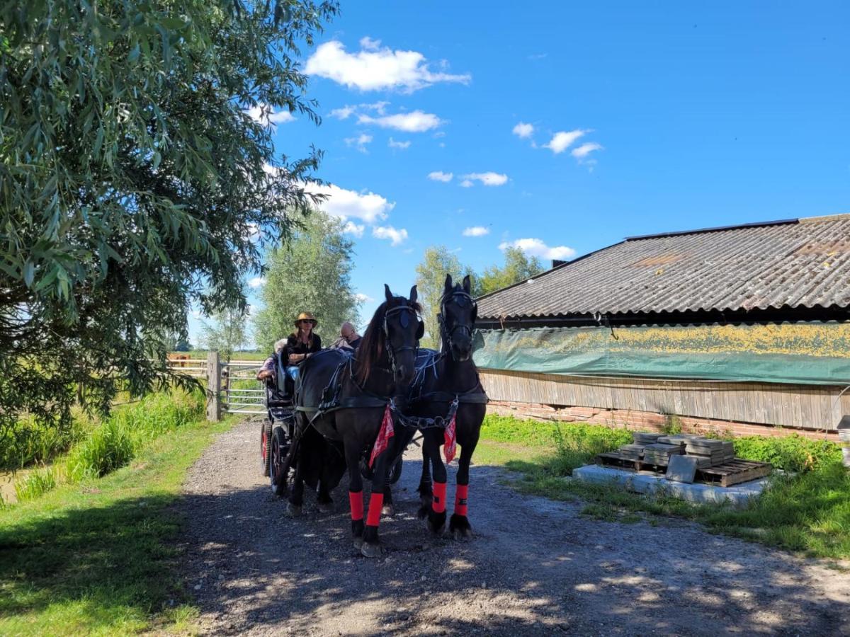 De Huifkar, Trekkershut Bij Sneek Hotel Hommerts Kültér fotó