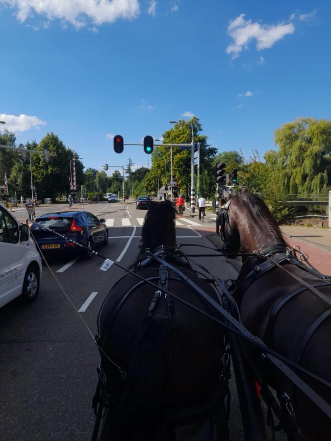 De Huifkar, Trekkershut Bij Sneek Hotel Hommerts Kültér fotó