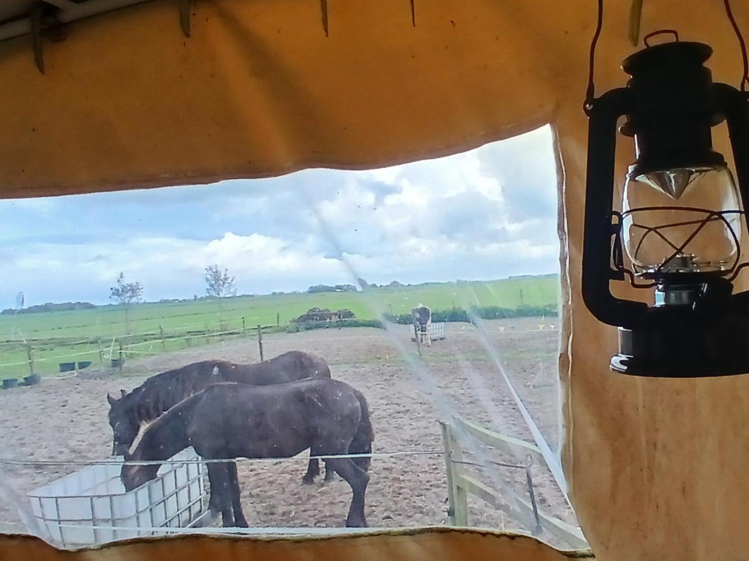 De Huifkar, Trekkershut Bij Sneek Hotel Hommerts Kültér fotó