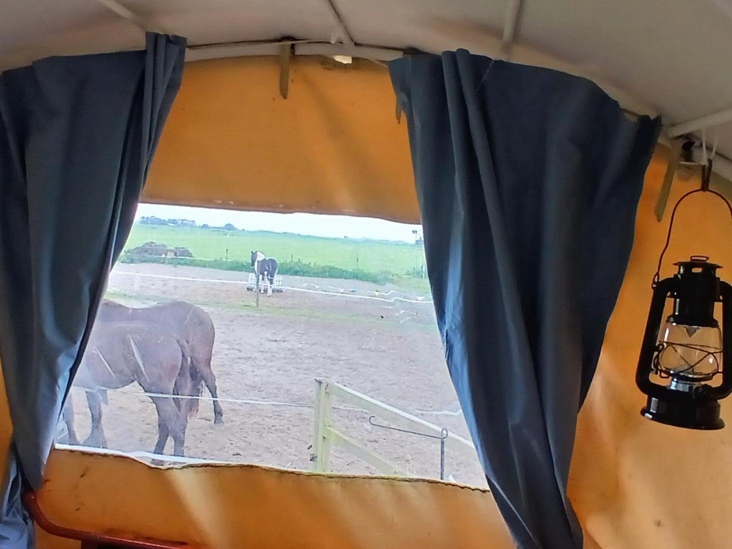 De Huifkar, Trekkershut Bij Sneek Hotel Hommerts Kültér fotó