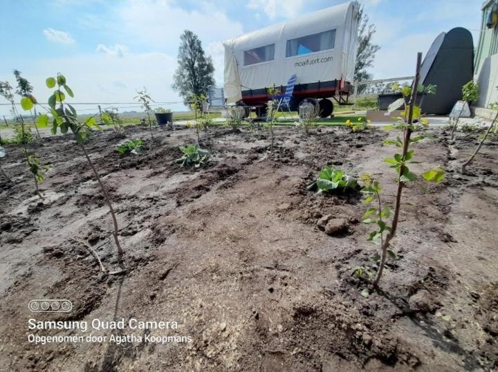 De Huifkar, Trekkershut Bij Sneek Hotel Hommerts Kültér fotó